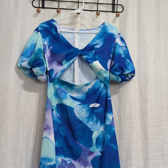 Blue Floral Dress - Picture 3 of 16